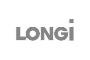 LOGO LONGI